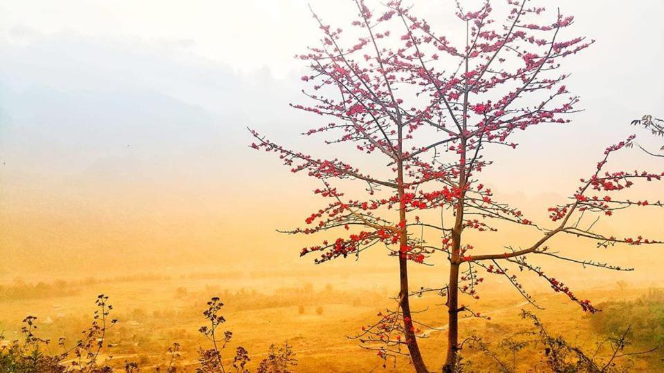 Điểm dừng chân Cán Tỷ Ha Giang Extérieur photo