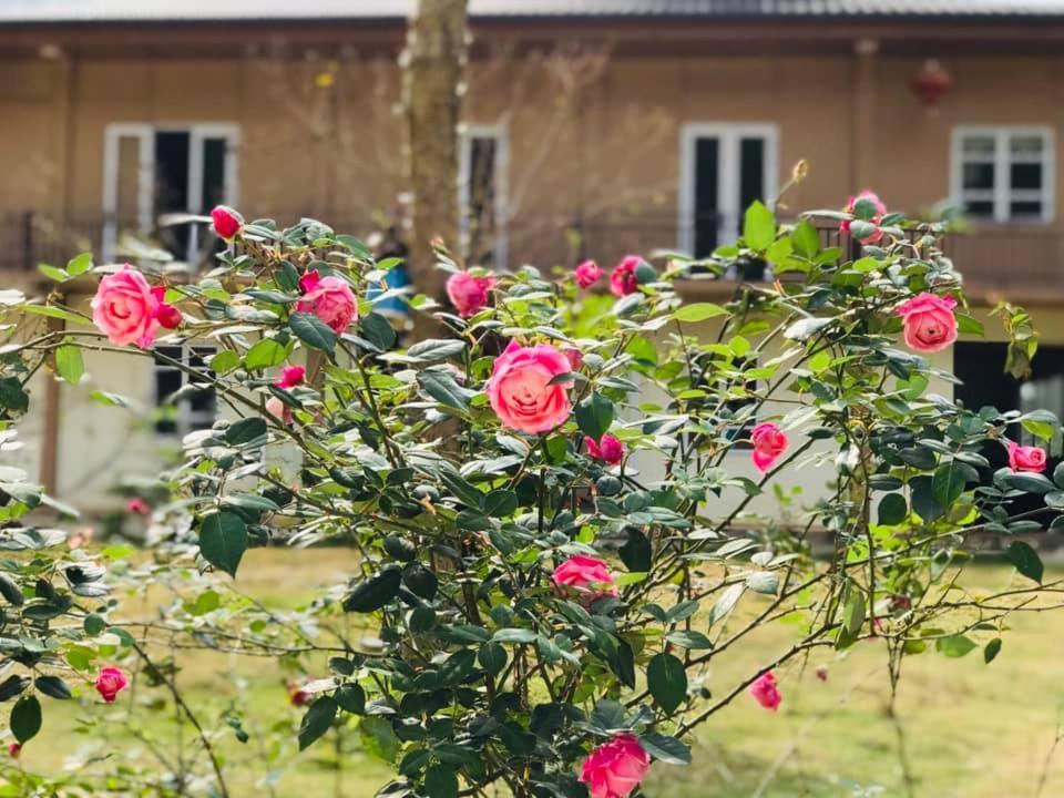 Điểm dừng chân Cán Tỷ Ha Giang Extérieur photo