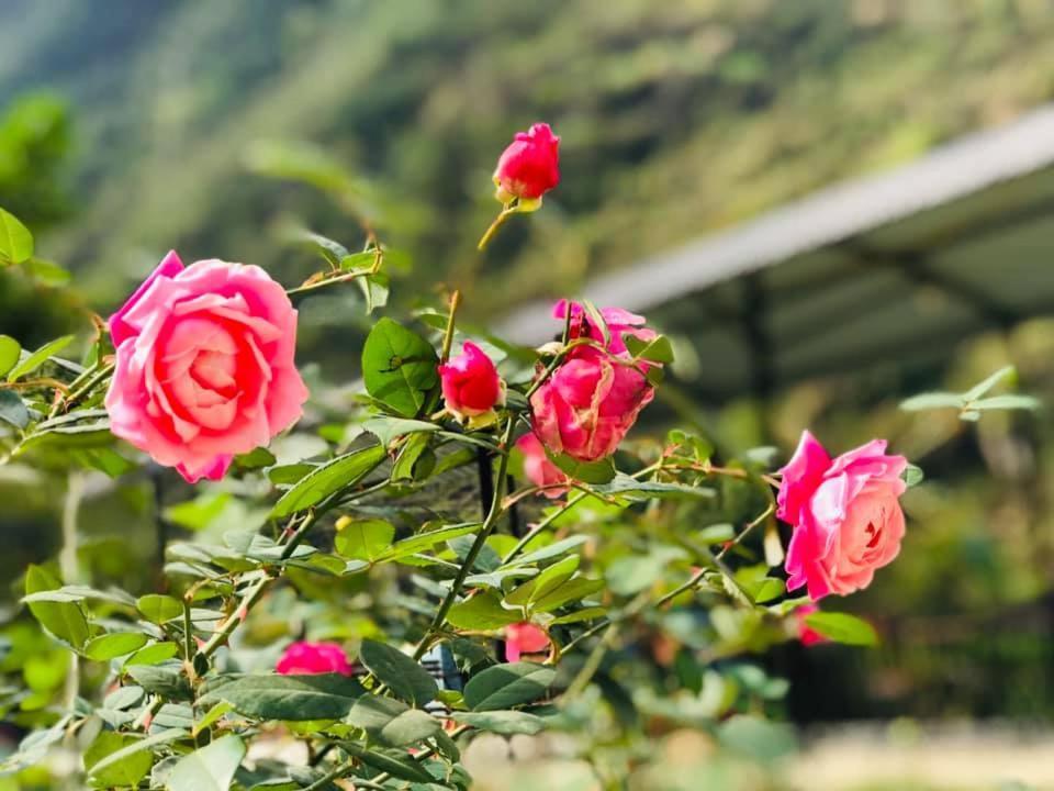 Điểm dừng chân Cán Tỷ Ha Giang Extérieur photo